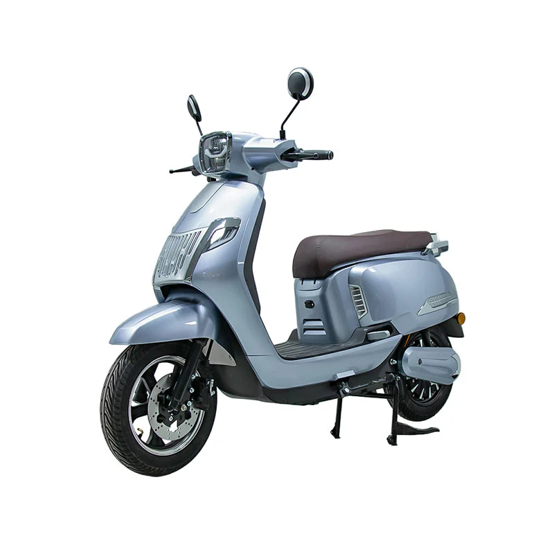 Apa sing kudu ditimbang nalika tuku motor motor listrik 800W 800W kanggo wong diwasa?